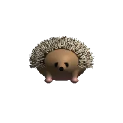 Hedgehog